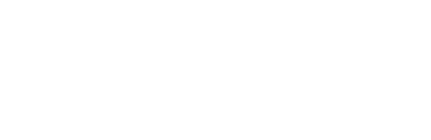 Professional Auto Sales